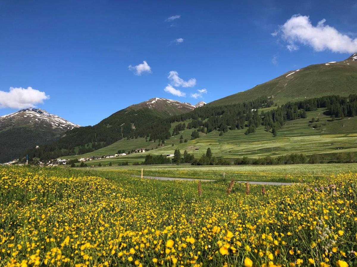 Chalet Breithorn- Perfect For Holiday With Amazing View! 上盖斯特尔恩 外观 照片